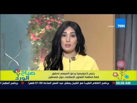 سلم مبعوثه خطابا  للرئيس المصري