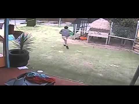 شاهد بالفيديو توقيف طفل لاتهامه بسرقة وقتل دجاج