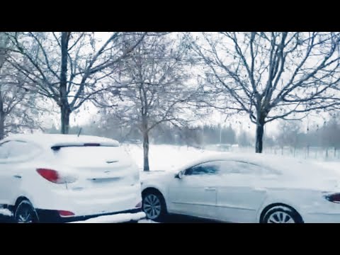 شلل في جميع مناحي الحياة بسبب الثلوج