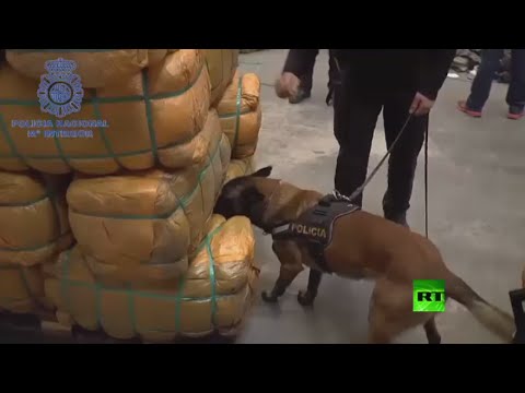 إسبانيا تكشف طريقة حصول داعش على ملابس الحرب