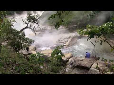 شاهد نهر يقتل أي كائن حي يسبح بداخله