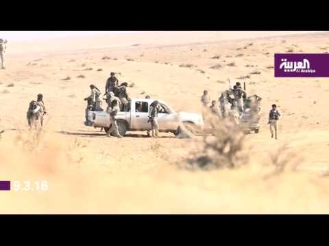 شاهد التحالف يعلن عن استجابته لوساطة قبلية