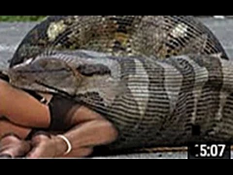 أضخم وأغرب الحيوانات فى العالم