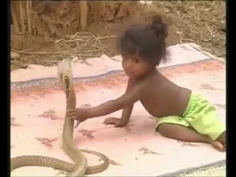 فقط في الهند هدية الأطفال كوبرا