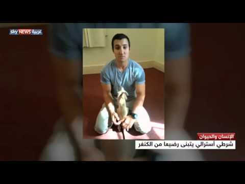 شرطي أسترالي يتبنى رضيعًا من الكنغر