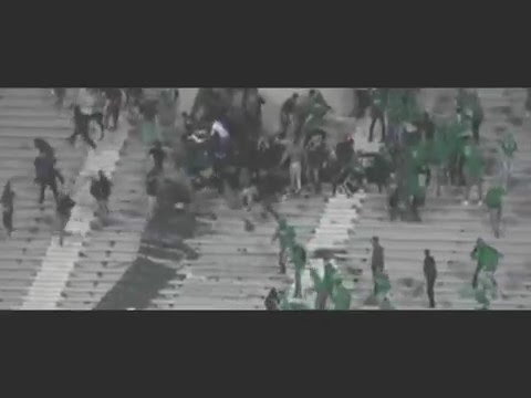 شاهد جماهير