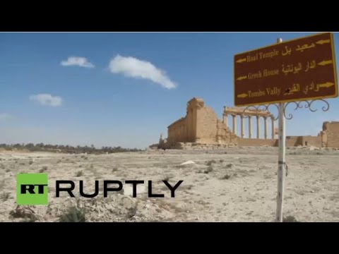 اليونيسكو تبحث بدء ترميم آثار تدمر