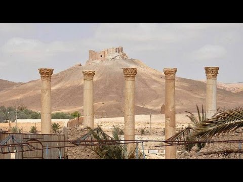 داعش وتجليات الخسارة على الأرض