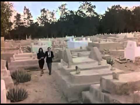 68 عامًا على ذكرى ميلاد الموسيقار حسن أبو السعود