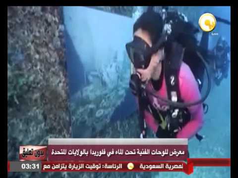 بالفيديو معرض للوحات الفنية تحت الماء في الولايات المتحدة