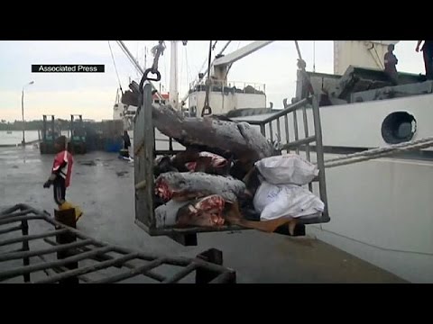 آسوشييتد برس تفوز بجوائز بوليتزر للصحافة