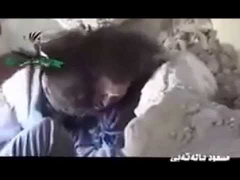 شاهد إلقاء القبض على رجل منتمي إلى داعش