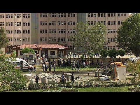 شاهد الأصدقاء أفضل من المسكنات في مواجهة الآلام