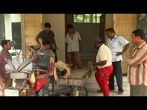 فيديو متطرفون يغتالون أحد الصوفيين في بنغلاديش