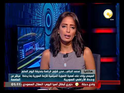 بالفيديو تفاصيل لقاء الرئيس السيسي مع وفد الصداقة الفرنسية في البرلمان الفرنسي