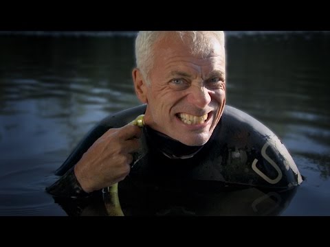 بالفيديو أسماك ” مصاصة دماء”