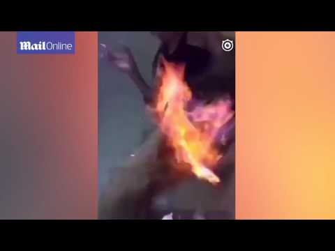 فيديو شاب يضرم النار في نفسه