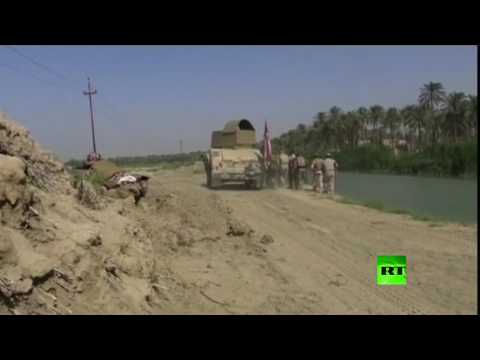 تقدم ملموس للقوات العراقية والحشد الشعبي شمالي الفلوجة