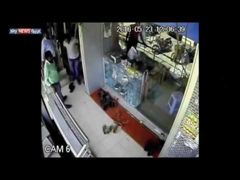 القرد اللص يسرق أموالا من متجر مربيه