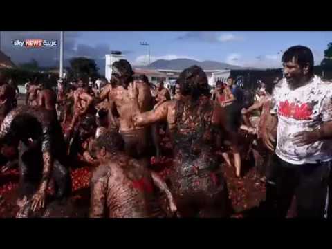 فيديو استعمال 35 ألف كيلو طماطم