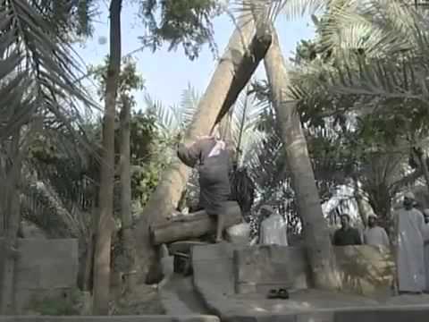  اليازرة وسيلة قديمة للري في الإمارات