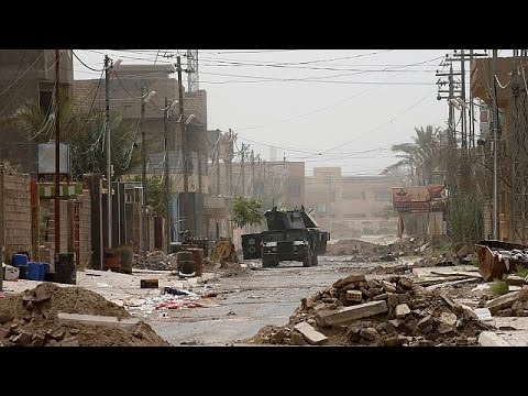 القوات العراقية تلاحق بقايا داعش في الفلوجة