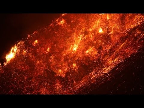 اشجار هالكة وجفاف قياسي وصفة لحرائق الغابات في الغرب الاميركي