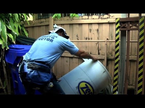 تكثيف الجهود لمكافحة فيروس زيكا القاتل