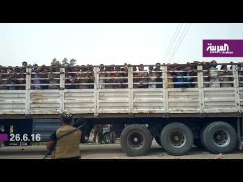 بالفيديو شاهد هل حسمت معركة الفلوجة أم لا