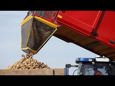 شاهد روسيا تمدد الحظر على استيراد الأغدية من الغرب