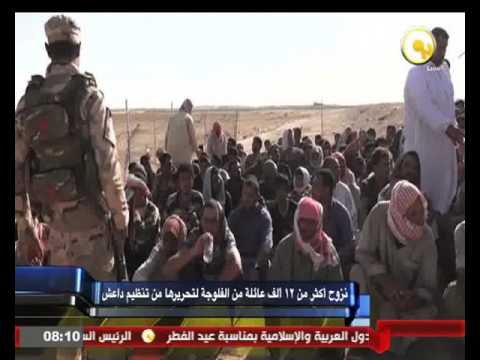 نزوح أكثر من 12 ألف عائلة من الفلوجة