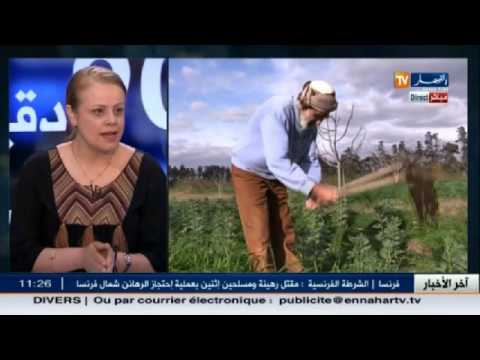 حوار سهام مونية بن يونس مديرة الاستغلال للمراقبة والمنازعات