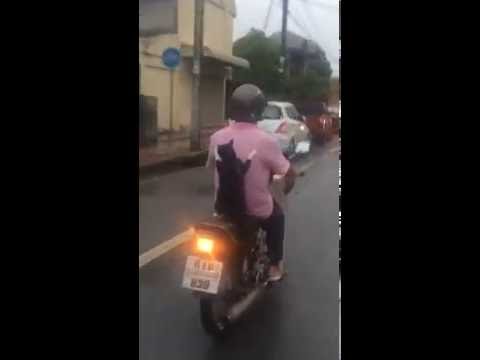 قطة تتجول بدراجة نارية على طريقة المحترفين