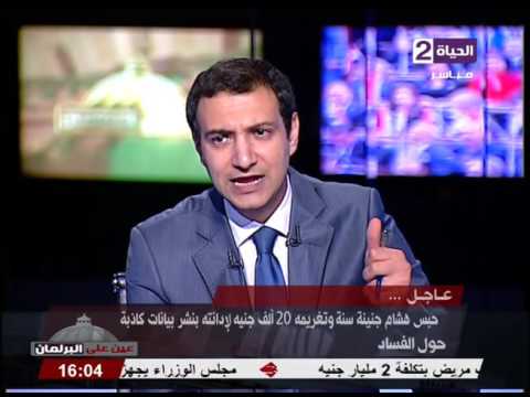 حبس هشام جنينه عامًا وغرامة 20 ألف جنيه مصري