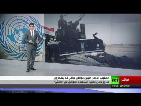 بالفيديو مليون عراقي قد ينزحون بسبب عملية الموصل المرتقبة