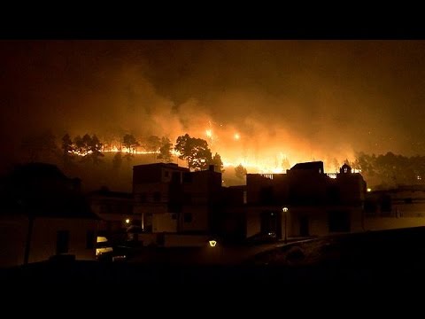 استمرار عمليات إخماد حرائق جزيرة بالما