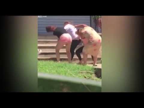 شاهد كلاب تشارك في مشاجرة بين سيدات في أميركا الشمالية