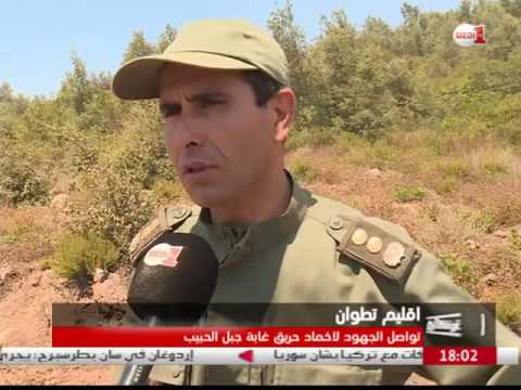 شاهدفرق الإطفاء تسابق الزمن لإخماد حريق غابة جبل الحبيب