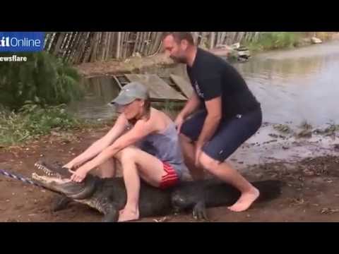 شاهد لحظة التهام تمساح لإصبع مرشد سياحي