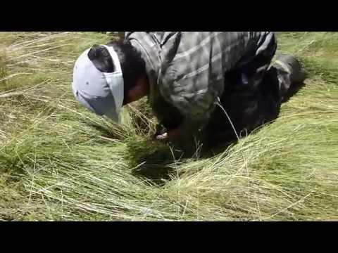 مزارع يعثر على ما لم يخطر بباله فى حفرة