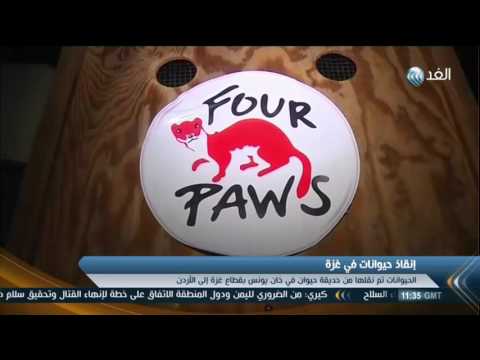 بالفيديو نقل حيوانات من حديقة في قطاع غزة لإنقاذها من الموت جوعًا