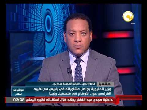 بالفيديو  سامح شكري يواصل مشاوراته في باريس مع نظيره الفرنسي