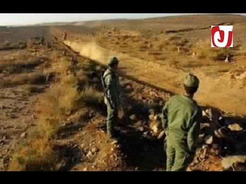 بالفيديو توقيف 4 أشخاص من البوليساريو على الحدود وحجز 500 كلغ من الحشيش