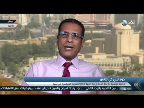 الجامعة العربية تركت المجتمع الدولي يفعل ما يشاء في ليبيا