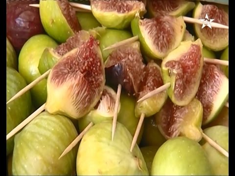 بالفيديو المهرجان الوطني للتين في تاونات في المغرب