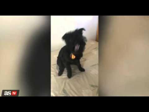صحيفة آس الإسبانية تنشر فيديو لكلب يهاجم ميسي