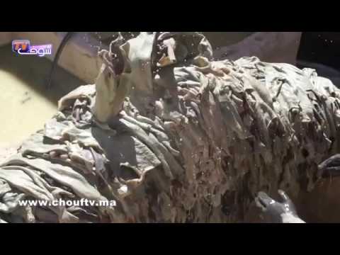 بالفيديو وقفة مع معاناة الدباغة في فاس