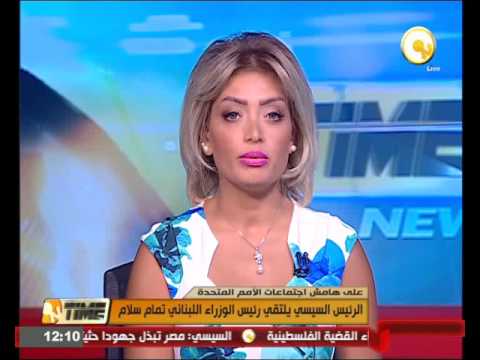 بالفيديو الرئيس  عبدالفتاح السيسي يلتقي رئيس الوزراء اللبناني تمام سلام