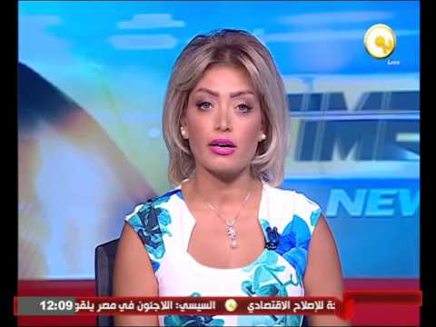 شاهد الرئيس عبدالفتاح السيسي يبحث مع هولاند العلاقات الثنائية والقضايا المشتركة