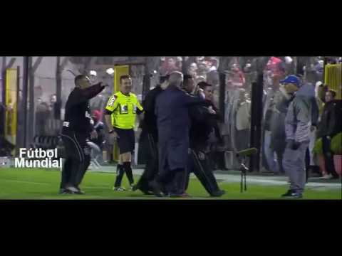 شاهد كلب يتسبّب في إيقاف مباراة في الدوري البرازيلي